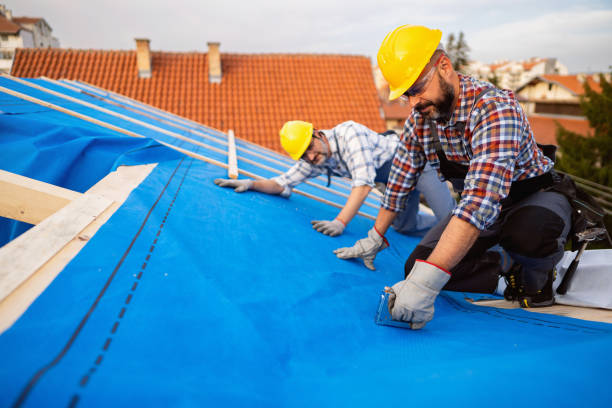 Best Solar Panel Roofing Installation  in Winterville, GA