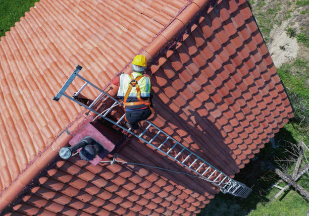 Best Roof Maintenance and Cleaning  in Winterville, GA