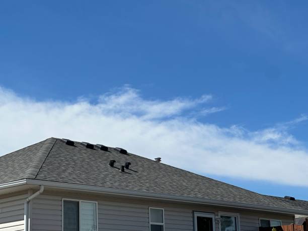 Best Asphalt Shingle Roofing  in Winterville, GA