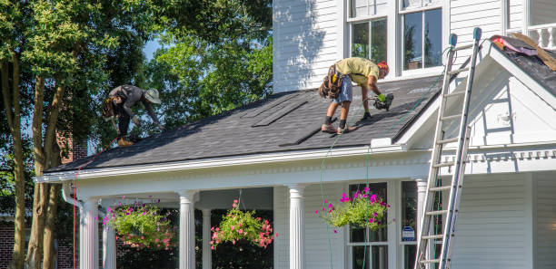 Best Roof Insulation Installation  in Winterville, GA